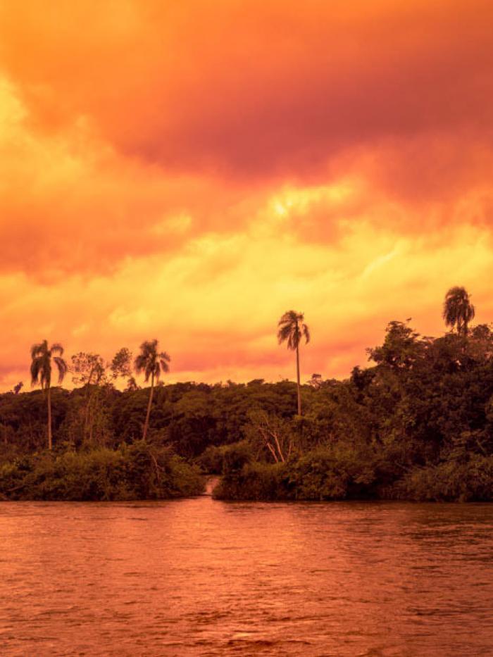 Sunset over the Iquazu Jungle, Misiones Province, Argentina