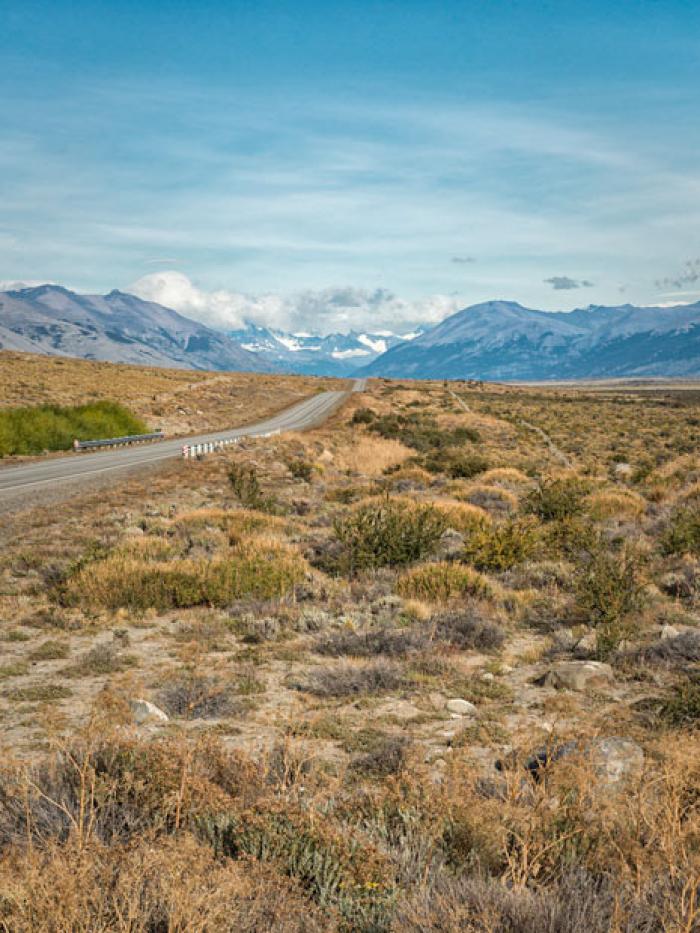 Road through Argentinian Patagonia