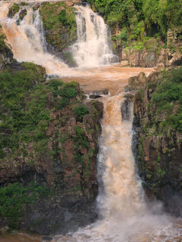 Golden Waterfall, Iguazu Falls