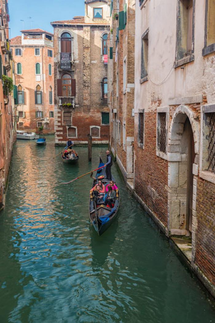 All follow, Backwater Canal, Venice