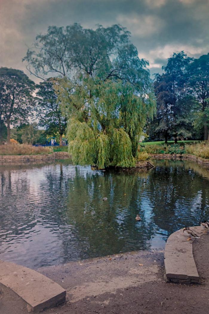 Duck Pond, Victoria Park, St Helens, Merseyside